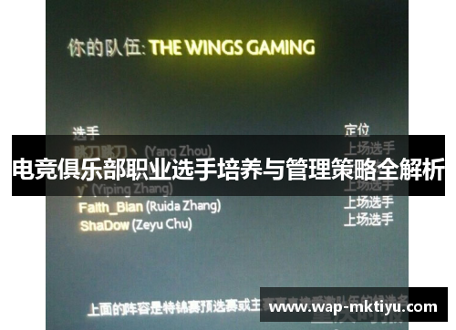 电竞俱乐部职业选手培养与管理策略全解析