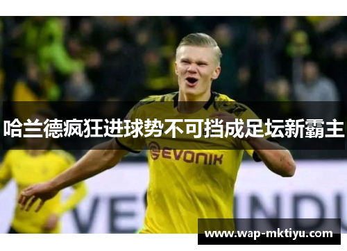 哈兰德疯狂进球势不可挡成足坛新霸主